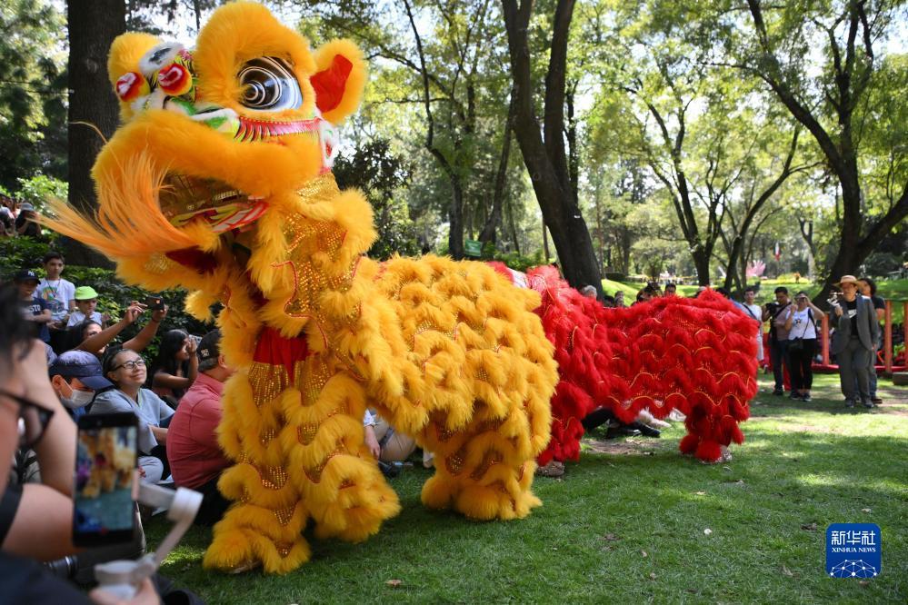 奔驰宝马娱乐官方网站